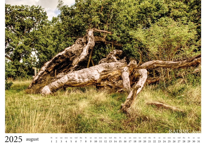 2025 Aspal Park Calendar 9