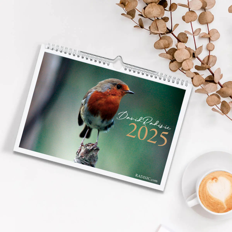 British Garden Bird Calendar 2025