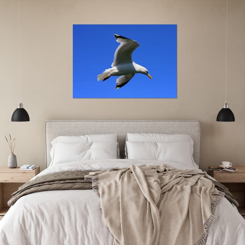 Gull Blue Sky - A3 Classic Matte Paper Poster