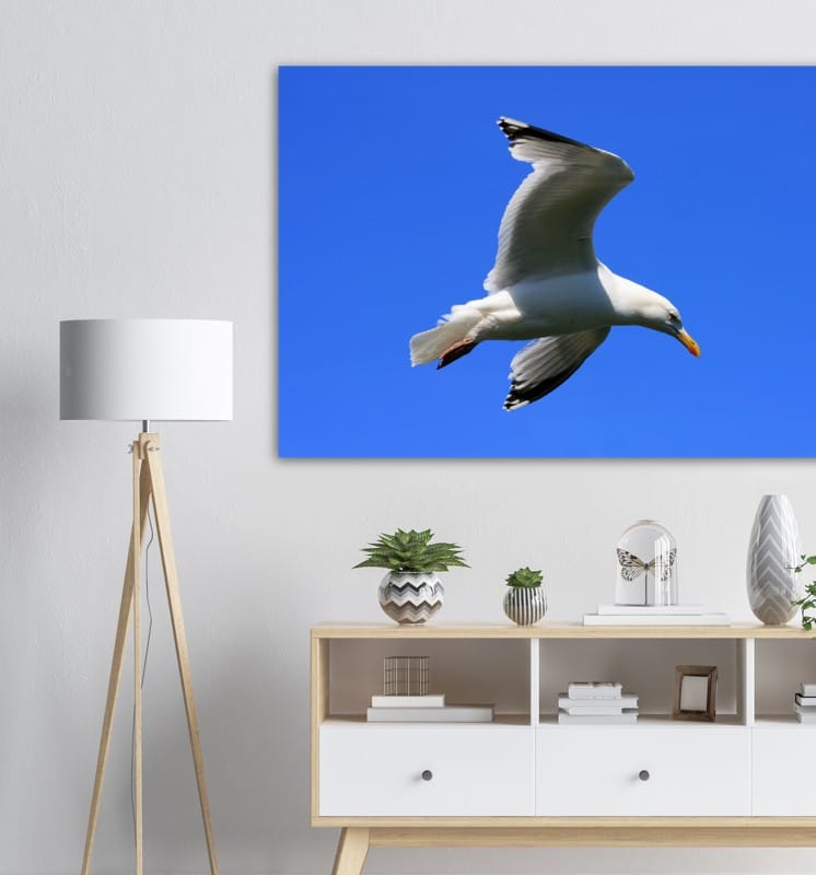 Gull Blue Sky - A3 Classic Matte Paper Poster