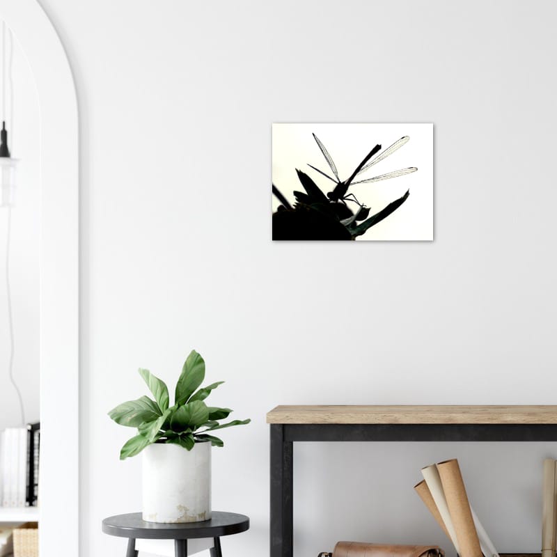 Dragon Fly Silhouette - A3 Classic Matte Paper Poster