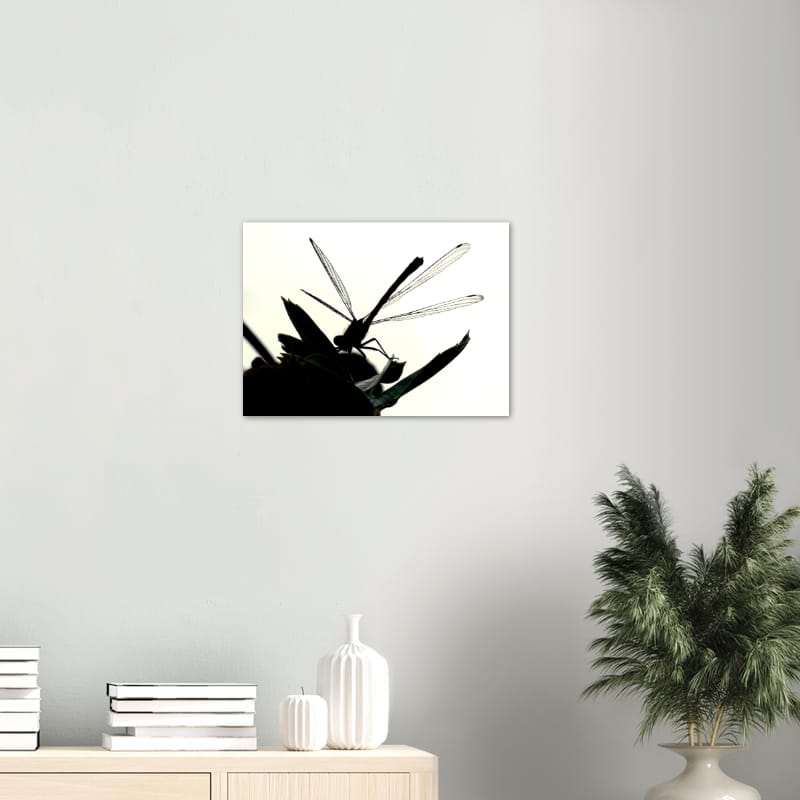 Dragon Fly Silhouette - A3 Classic Matte Paper Poster